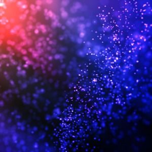 Meet your Posher, Trinity